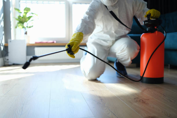 Reliable Odor Removal contractor in Huntington, AR by Trauma Clean Pros